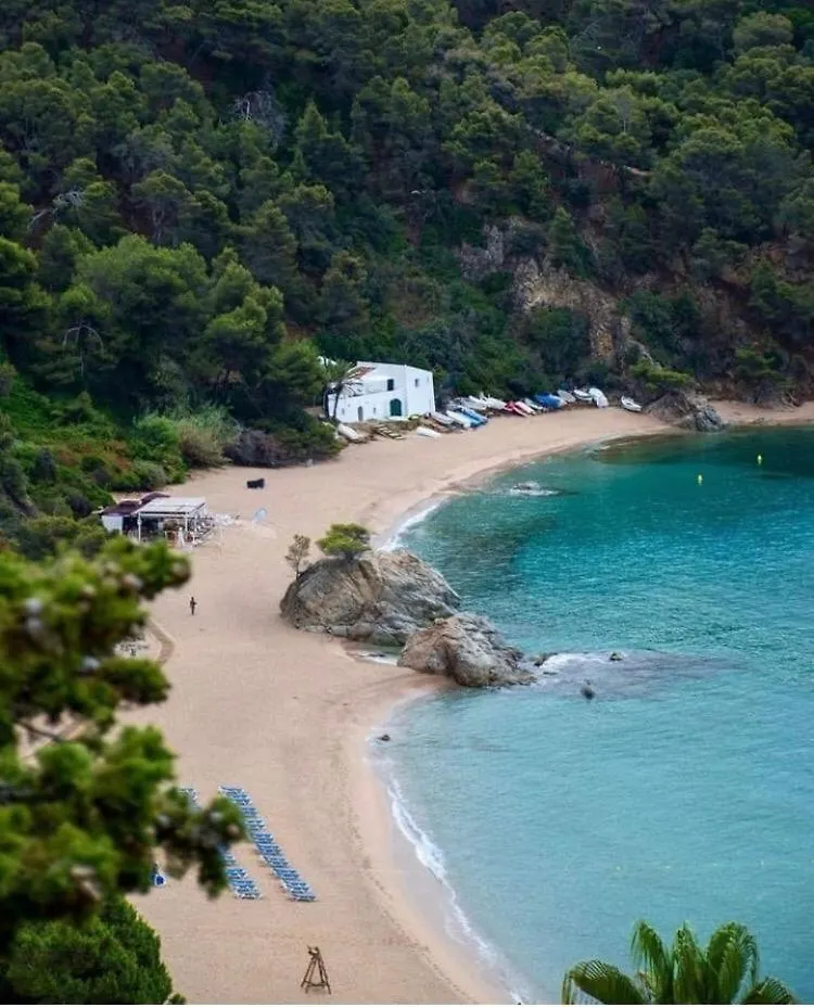 Casa Beach 료렛 드 마르 0*,